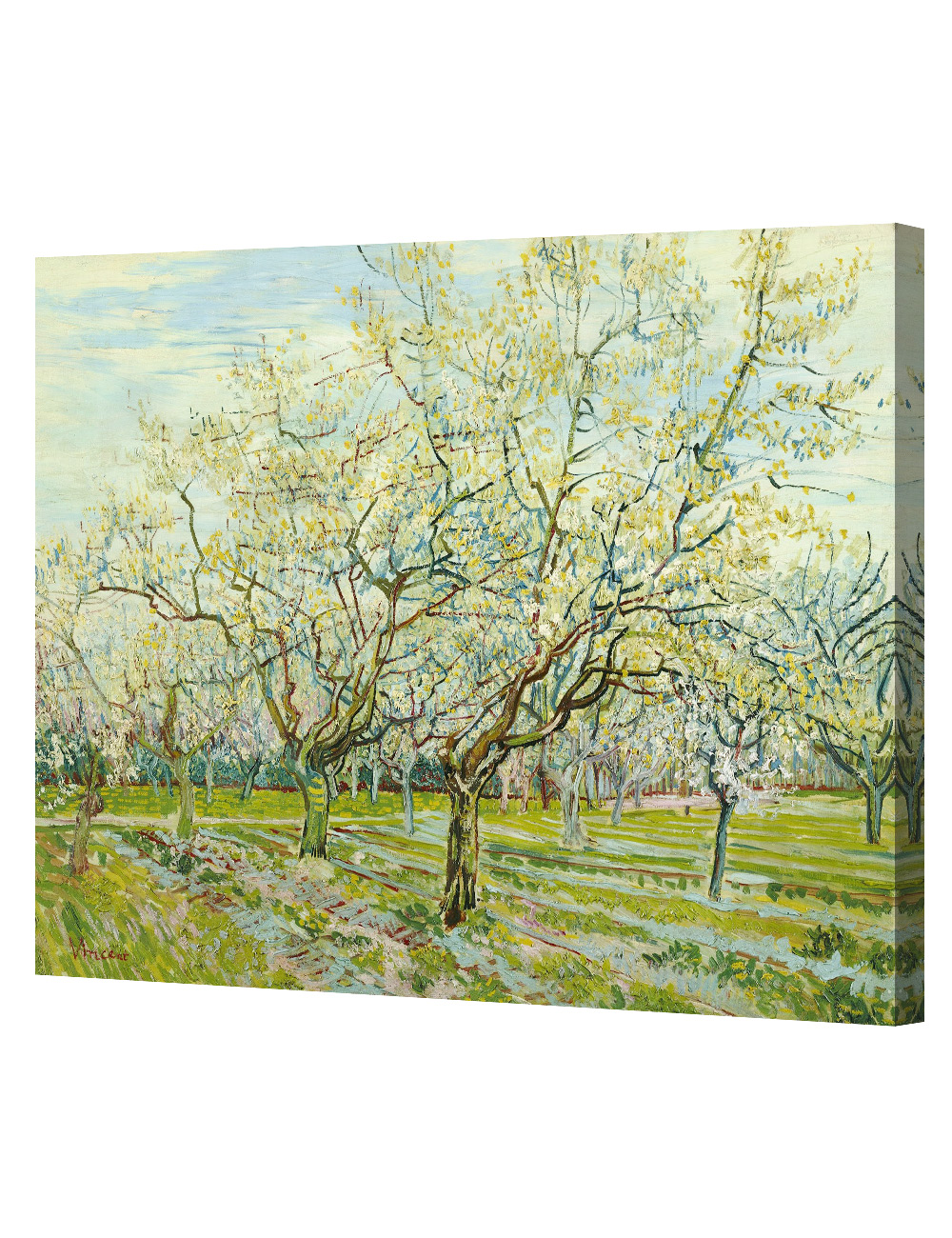 The White Orchard, by Vincent Van Gogh Giclee Print Stretched Canvas ...